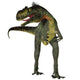 Megalosaurus Dinosaur Front Wall Decal