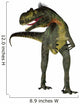 Megalosaurus Dinosaur Front Wall Decal