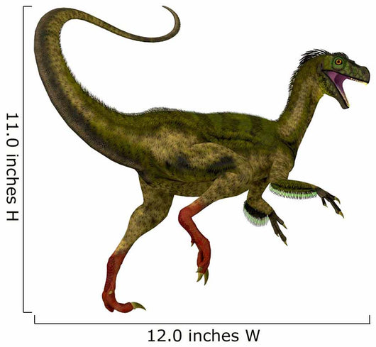 Ornitholestes Dinosaur White Wall Decal