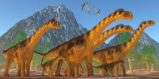 Camarasaurus Sauropod Dinosaur Herd Wall Decal