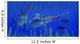 Eurhinosaurus Reptile Preys Coelacanth Wall Decal