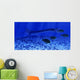 Plesiosaurus Marine Reptile Attacks Wall Decal