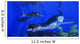 Liopleurodon Catches Ichthyosaur Jurassic Wall Decal