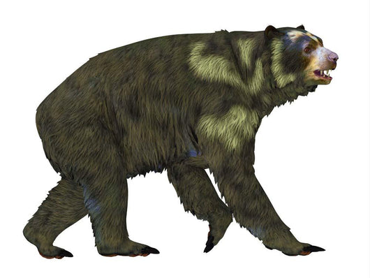 Side Arctodus Short-faced Bear Wall Decal