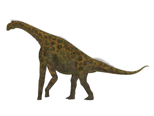 Atlasaurus Dinosaur Side Wall Decal