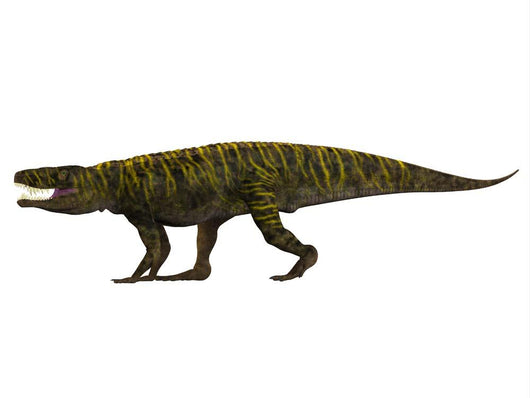 Batrachotomus Archosaur Side Wall Decal