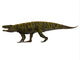 Batrachotomus Archosaur Side Wall Decal