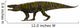 Batrachotomus Archosaur Side Wall Decal