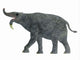 Deinotherium Mammal Side Wall Decal