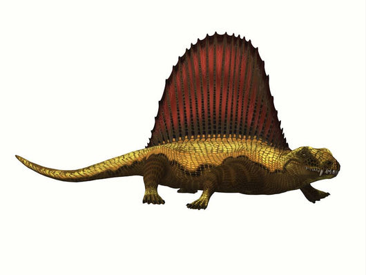 Dimetrodon Reptile White Wall Decal