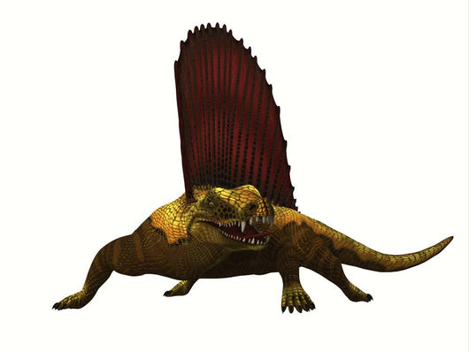 Dimetrodon Reptile Front Wall Decal