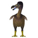 Dodo Bird Front Wall Decal