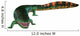 Eogyrinus Aquatic Tetrapod White Wall Decal Design 2