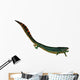 Eogyrinus Aquatic Tetrapod Side Wall Decal