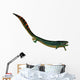 Eogyrinus Aquatic Tetrapod Side Wall Decal