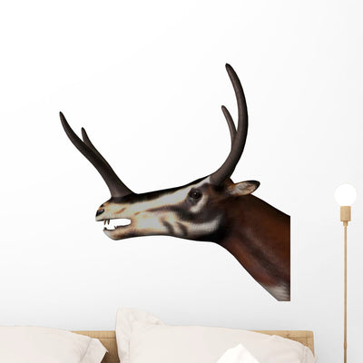 Kyptoceras Portrait White Wall Decal shown on a wall