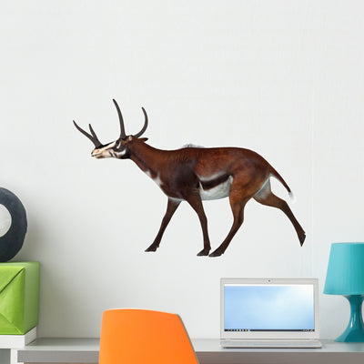 Kyptoceras White Wall Decal Design 1 shown on a wall