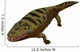 Mastodonsaurus Amphibian White Wall Decal
