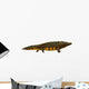 Mastodonsaurus Amphibian Side Wall Decal