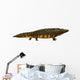 Mastodonsaurus Amphibian Side Wall Decal