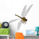 Meganeura Insect from Carboniferous Wall Decal Design 2