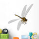 Meganeura Insect from Carboniferous Wall Decal Design 2