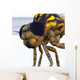 Close-up Meganeura Insect from Wall Decal