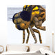 Close-up Meganeura Insect from Wall Decal
