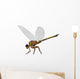 Meganeura Insect from Carboniferous Wall Decal Design 1