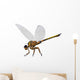 Meganeura Insect from Carboniferous Wall Decal Design 1