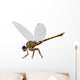 Meganeura Insect from Carboniferous Wall Decal Design 1