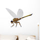 Meganeura Insect from Carboniferous Wall Decal Design 1