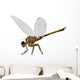Meganeura Insect from Carboniferous Wall Decal Design 1