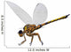 Meganeura Insect from Carboniferous Wall Decal Design 1