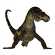 Nothosaurus Reptile Front Wall Decal