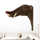 Platybelodon Portrait White Wall Decal