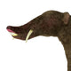 Platybelodon Portrait White Wall Decal