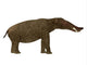 Platybelodon Mammal Side Wall Decal