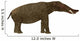 Platybelodon Mammal Side Wall Decal
