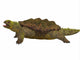 Prehistoric Proganochelys Turtle Species Wall Decal Design 3