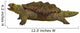 Prehistoric Proganochelys Turtle Species Wall Decal Design 3