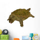 Prehistoric Proganochelys Turtle Species Wall Decal Design 2