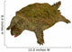 Prehistoric Proganochelys Turtle Species Wall Decal Design 2