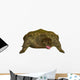 Prehistoric Proganochelys Turtle Species Wall Decal Design 1