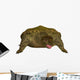 Prehistoric Proganochelys Turtle Species Wall Decal Design 1