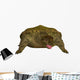 Prehistoric Proganochelys Turtle Species Wall Decal Design 1