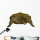 Prehistoric Proganochelys Turtle Species Wall Decal Design 1