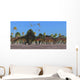Arizonasaurus Dinosaurs Follow along Wall Decal
