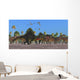 Arizonasaurus Dinosaurs Follow along Wall Decal