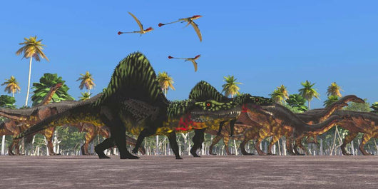 Arizonasaurus Dinosaurs Follow along Wall Decal